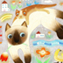 HAPPYCAT