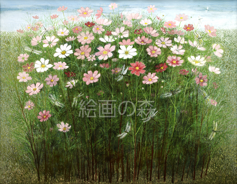秋聾