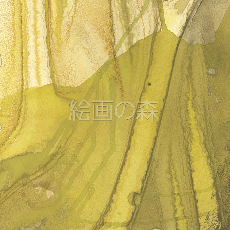 樹海１