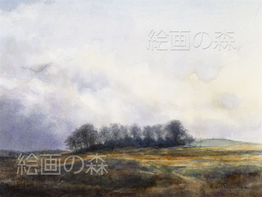 雨の丘拡大
