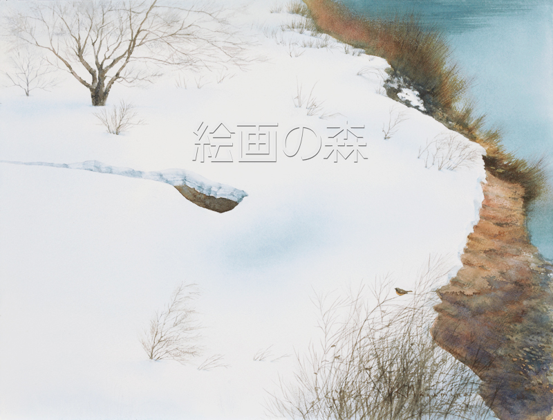 一月の河原拡大