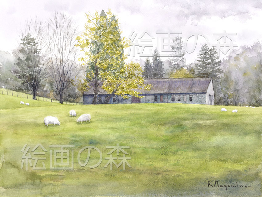 早春の羊拡大