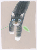 ネコとねこじゃらしＡ