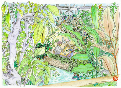 植物園
