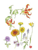 花２