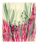 gentle wind