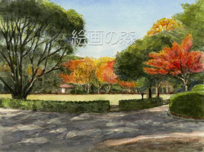 木洩れ日拡大
