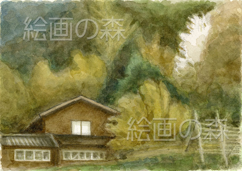 能登の山桜拡大