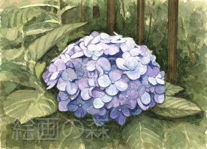 雨後のたたずみ