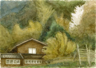 能登の山桜