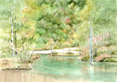 上高地・田代池