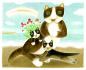 海と虹とネコ達